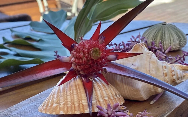 Carapitangui Pousada