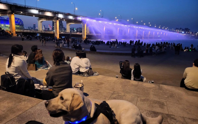 Newly renovated spacious 2 bedroom unit in HBC