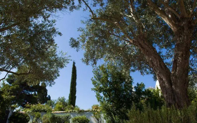 Soho Boutique Vistahermosa