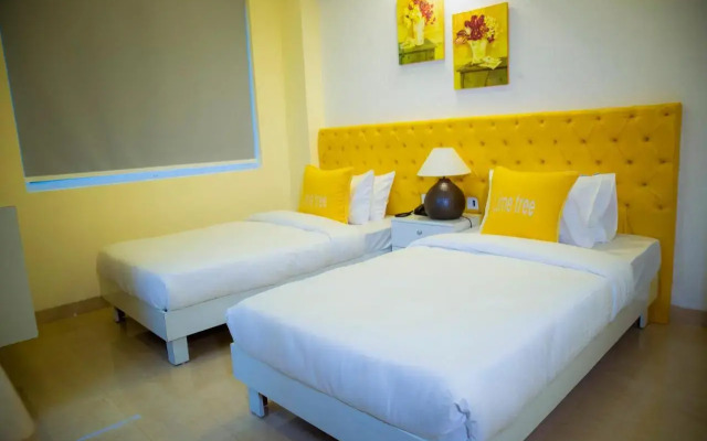 Lime Tree Luxury Studio