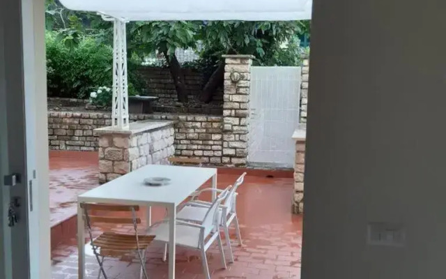 Olivo House 2