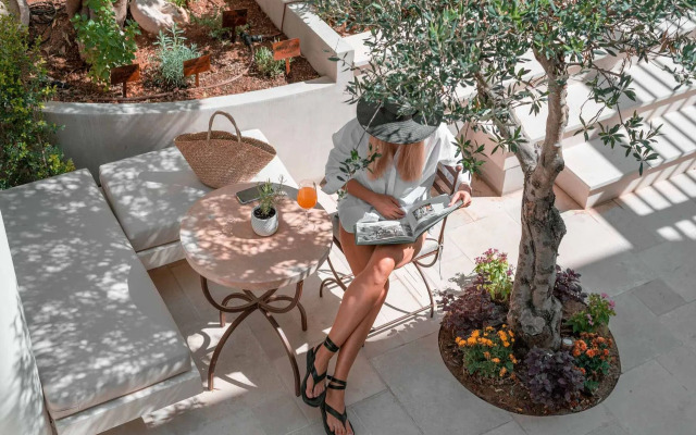 Inotropes Boutique Suites