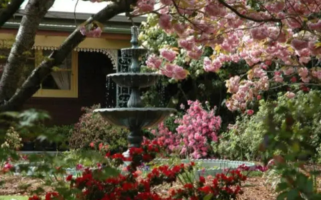 Rosie's Inn