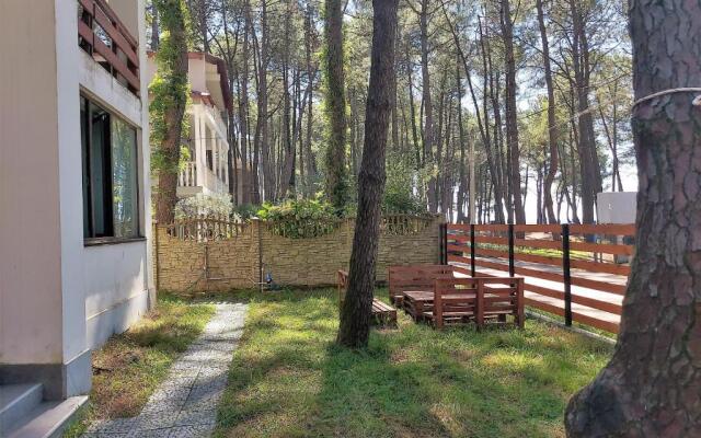 Beachfront 4-bedroom home in Kaprovani pine forest