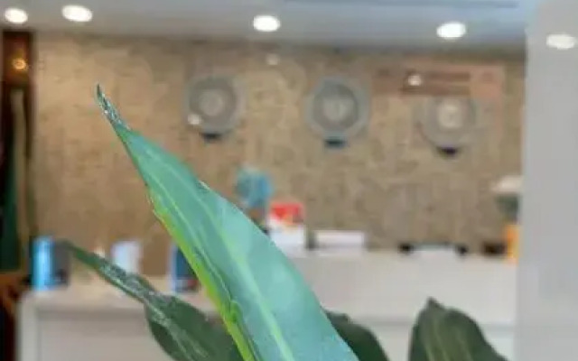 Taj Aleiman Hotel
