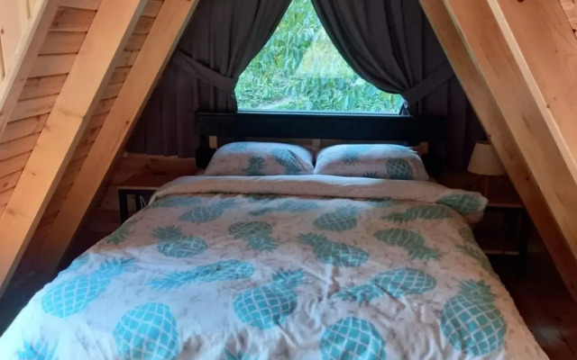 Cozy Bungalow With Private Pool Surrounded by Nature in Sapanca