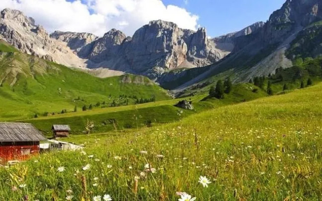 Alpenсolor Hotel Tonale