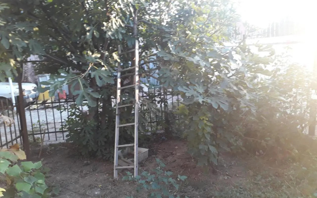 Tobyta nu primesc santieristi si petrecareti