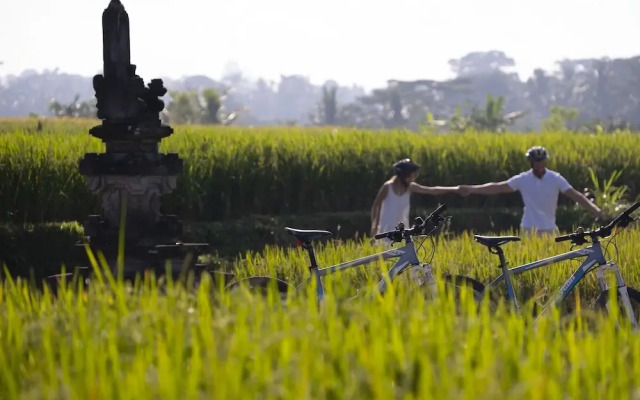 The Samaya Bali - Ubud