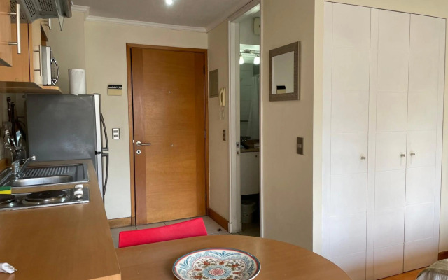Santiago Lastarria Apartment