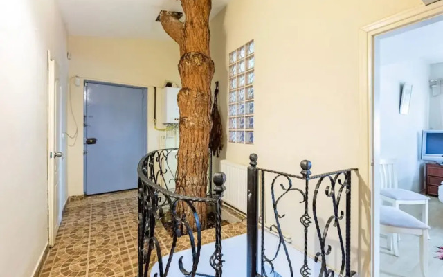 Unique House With Tree Inside Near Sea in Maltepe