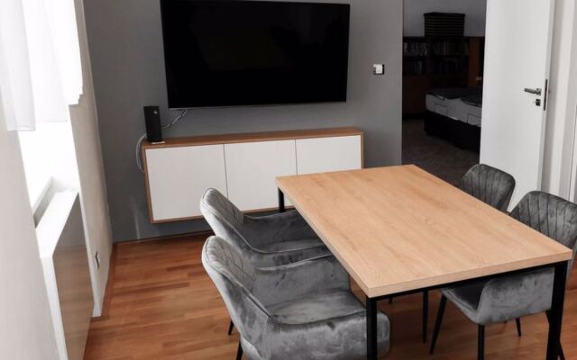 Apartment Jaselská Brno