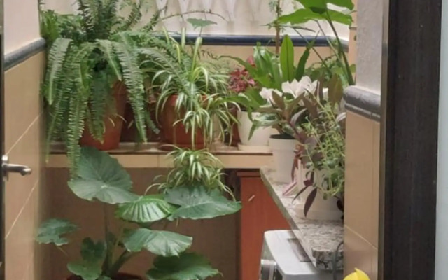 Apartamentos Los Descalzos