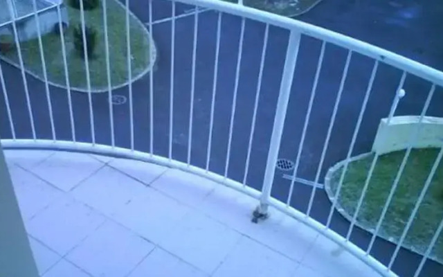 Tündérpart Apartment