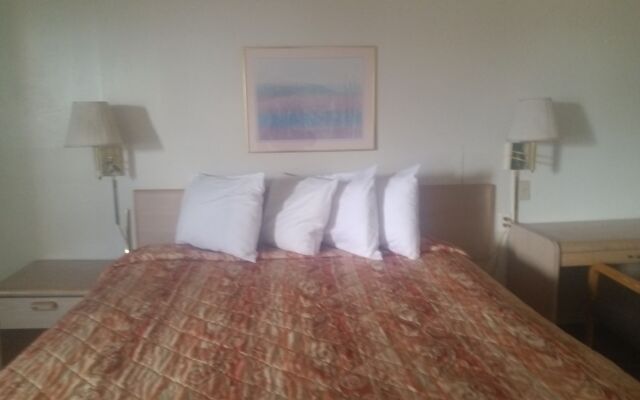 Tree Inn & Suites Albuquerque.