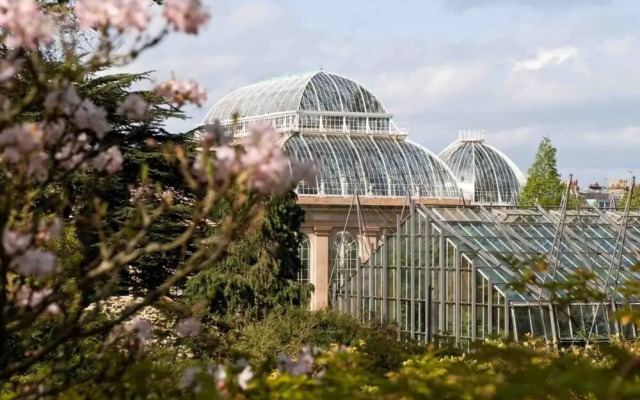 Botanic Garden 2 Bedroom Apartment in Edinburgh
