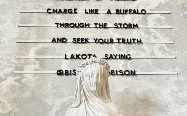 The Bishop And The Bison