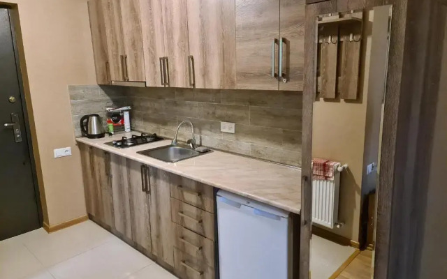 Bakuriani apartment
