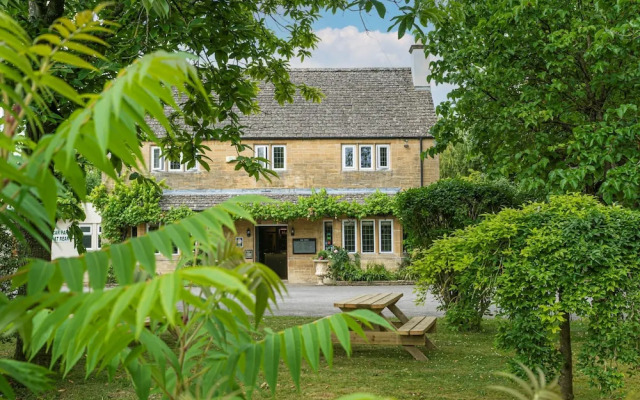 The Vines