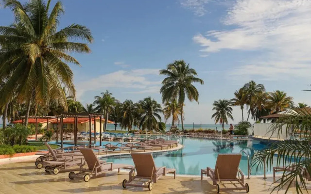 Starfish Cayo Guillermo