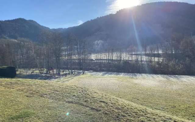 Appartement Praz-sur-Arly, 1 pièce, 4 personnes - FR-1-603-31