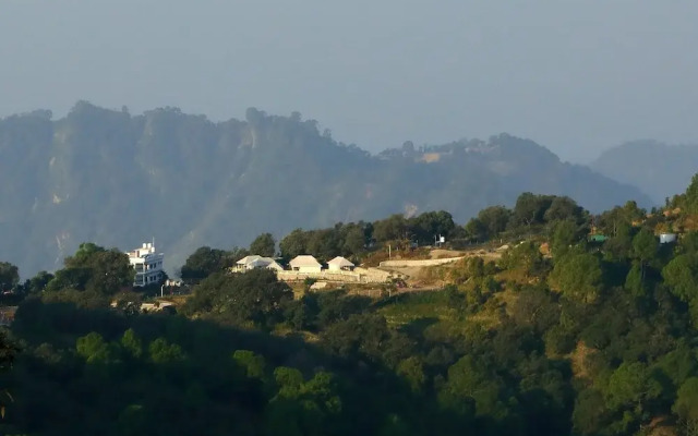 Charekh Food & Forest