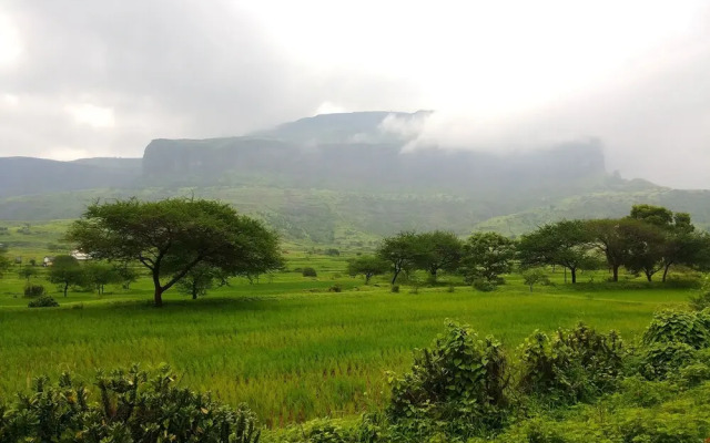 Hotel Sai Vijay