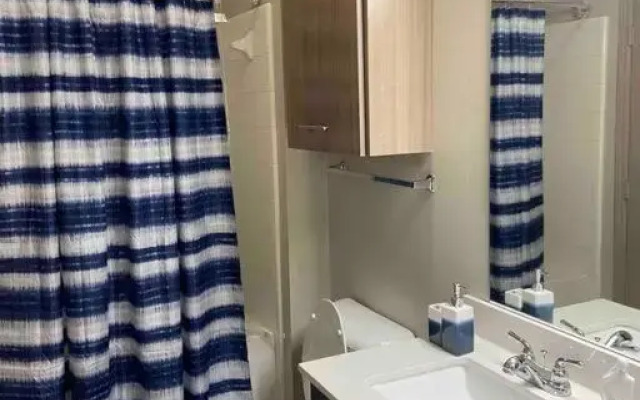 Downtown Luxury Apartment