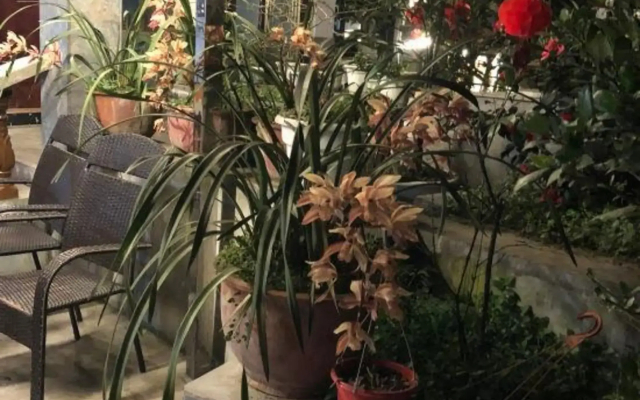 Lei's Courtyard Holiday Hotel