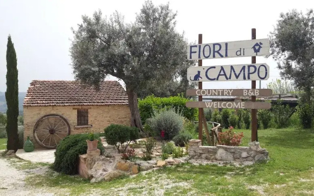 Fiori di Campo