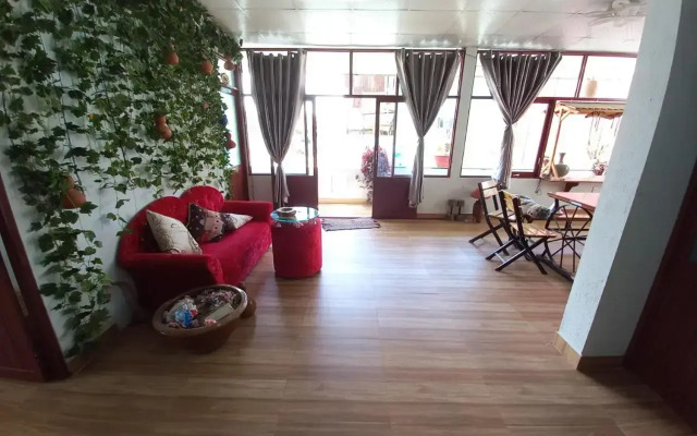Homestay HoLo