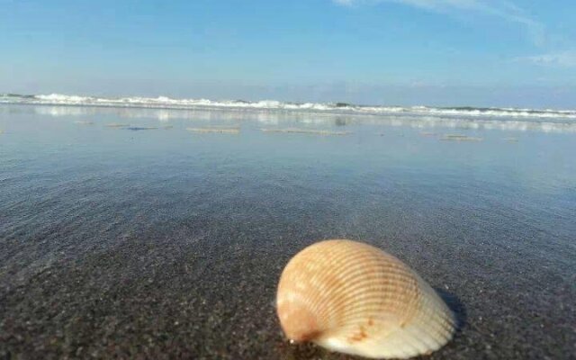 Torre Tuxpan