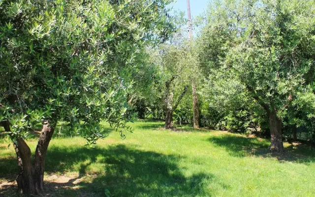 B&b Agli Ulivi Di Mascio