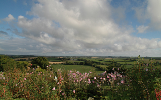 Ardfield
