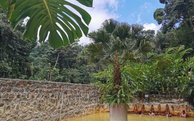 Recreo Verde Hot Springs & Spa
