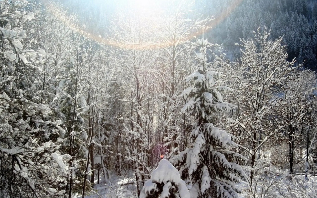 Large Semi-detached House Between Lake Weissensee and Nassfeld ski Area