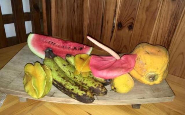 Les Nids de Belle Eau