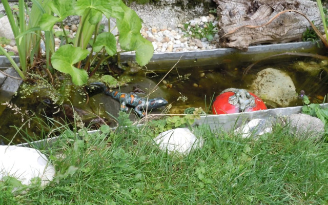 Appartementhaus Dargham