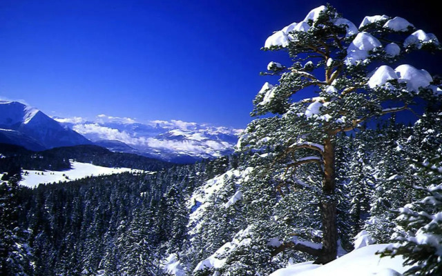 Studio Chamrousse, 1 pièce, 4 personnes - FR-1-340-99