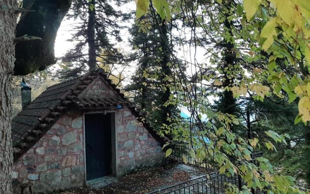Forest House