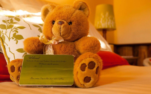 Tamborine Mountain B&B