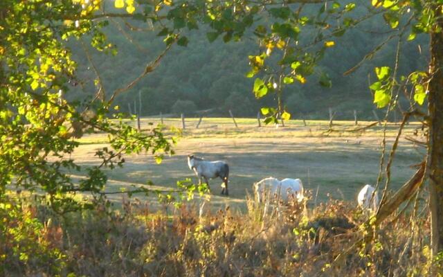 Hotel Rural La Pradera