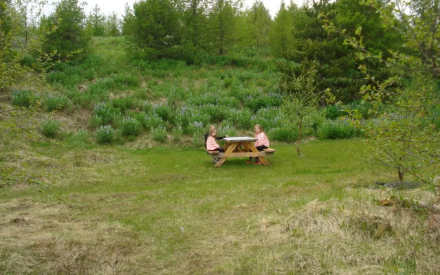 Vinland Camping Pods