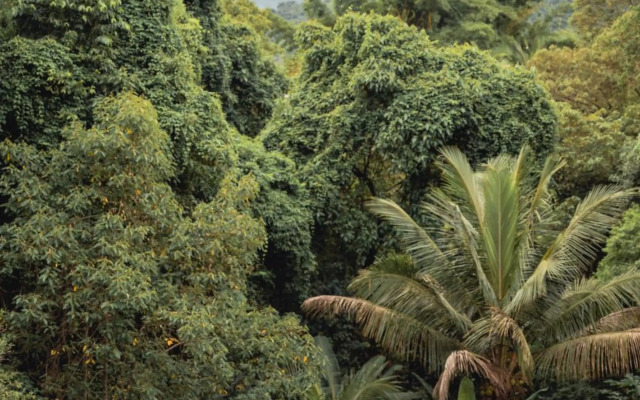 Diver Village Ilhabela