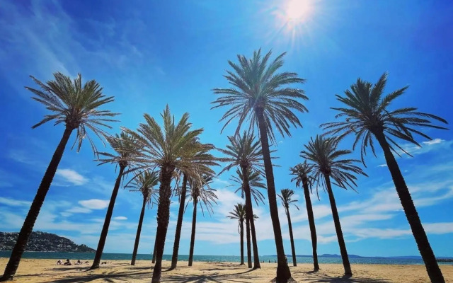 Dallas 2B Canyelles Roses - Barneda Premium