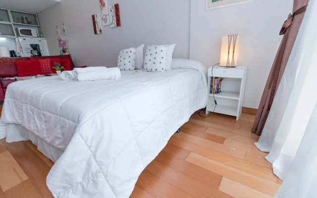 Apart Recoleta Luminoso Buena Ubicacion