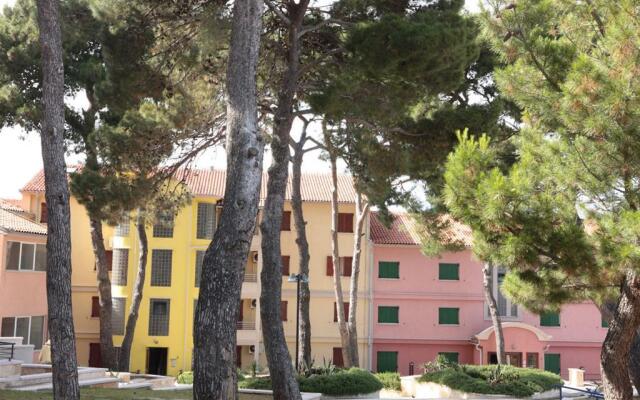 Apartments Punta