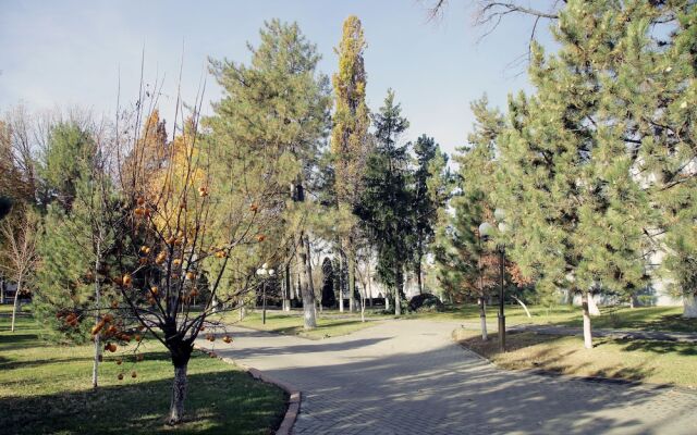 Отель Residence Park