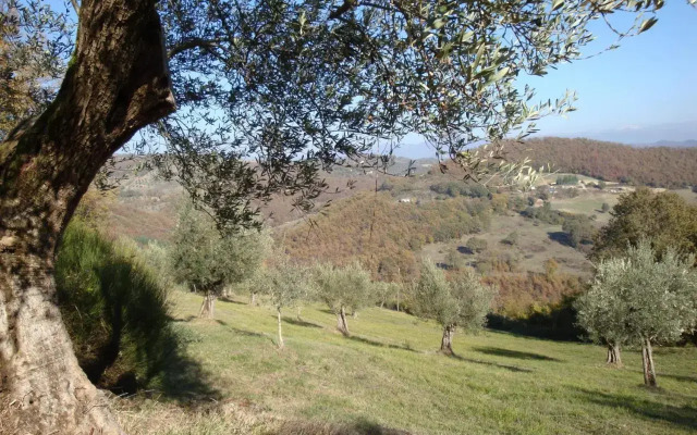 Semidimela