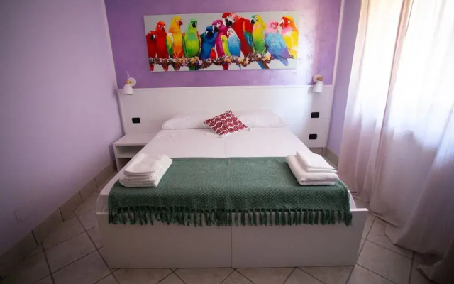 B&B Trepo